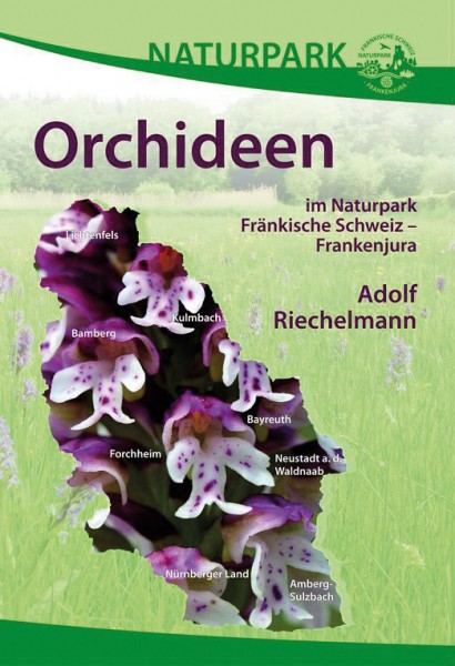 Orchideen - im Naturpark Fränkische Schweiz - Frankenjura